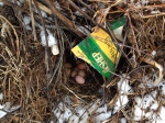 egg cache